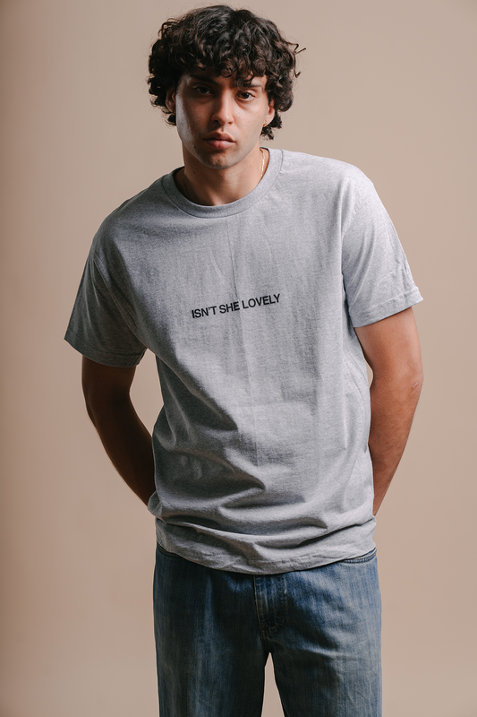isntshelovely grey tee